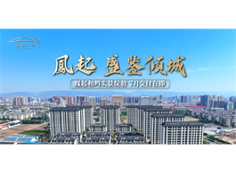 凤起  盛鉴倾城